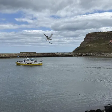 Majestic, Modern & Spacious Harbour-view With Parking Whitby