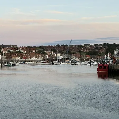 Majestic, Modern & Spacious Harbour-view With Parking Whitby